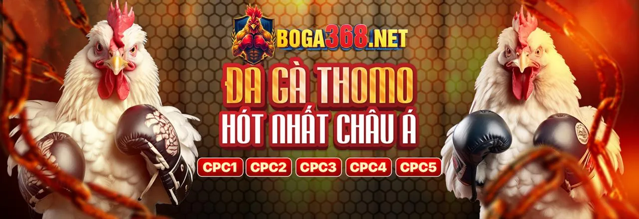 Tổng quan chiến lược game TF88