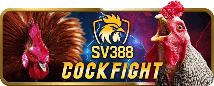 Dịch vụ hỗ trợ khách hàng 24/7 của TF88